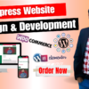 I will build professional wordpress website design development